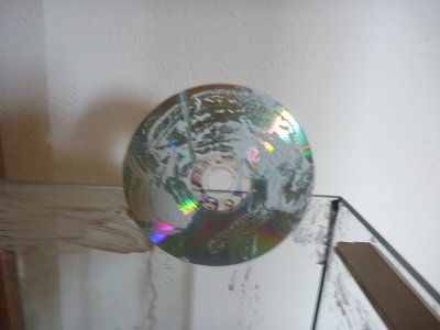 Mit Talkum bestrichene CD.JPG