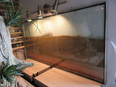 Die endgültige Füllhöhe. Man kann gut sehen, dass das Seramis gleichmäßig befeuchtet wird. / IMG_0471.JPG IMG_0471.JPG