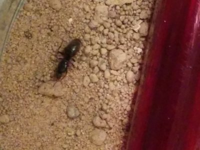 IMG_20150718_200450 (1).jpg