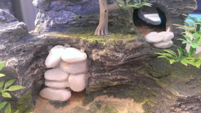 honigstelle und zugemauertes loch.jpg