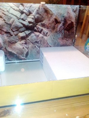 formicarium1.jpg