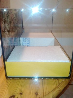 formicarium3.jpg