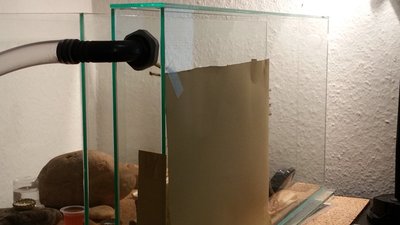 20160302_015421 (2).jpg