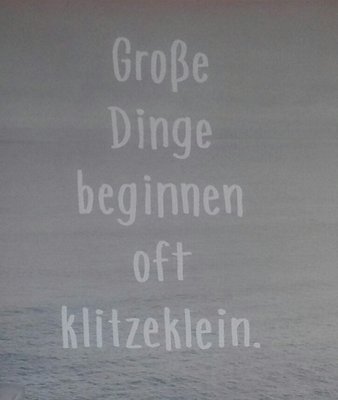 IMG_20160305_154033 (540x640).jpg