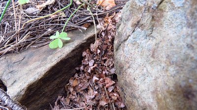 senilis eingang (3).JPG