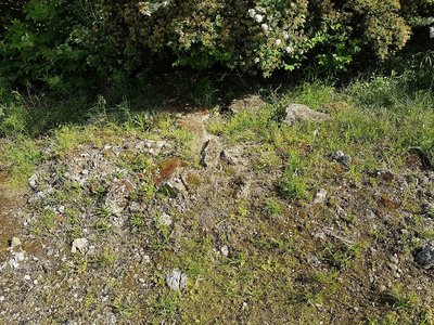 Die Fläche / 20160520_092552.jpg 20160520_092552.jpg