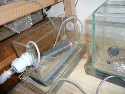 Hier wohnen sie jetzt / niger neuer (1).JPG niger neuer (1).JPG