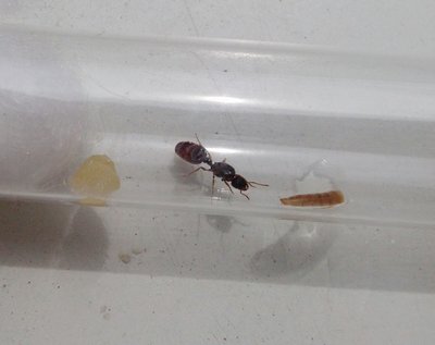 CAM00052~2-min (1).jpg