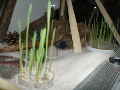 Kopie von Bild 124.jpg