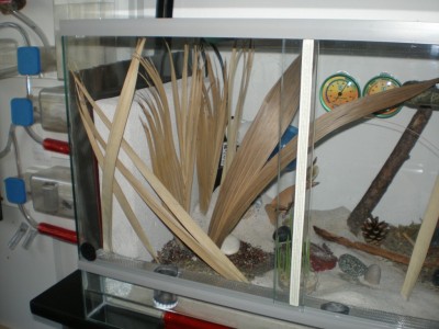 Kopie von Bild 122.jpg