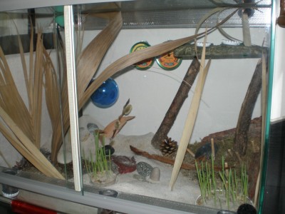 Kopie von Bild 121.jpg