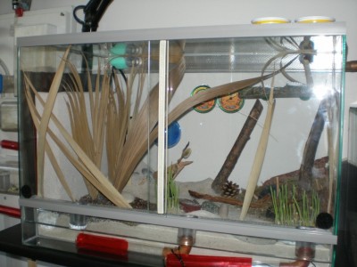 Kopie von Bild 120.jpg