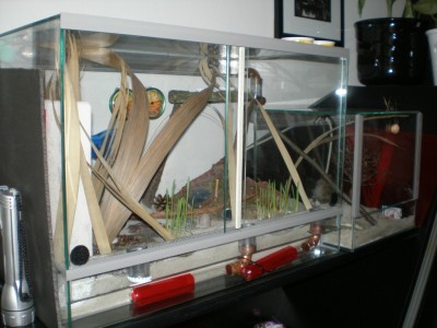 Kopie von Bild 132.jpg