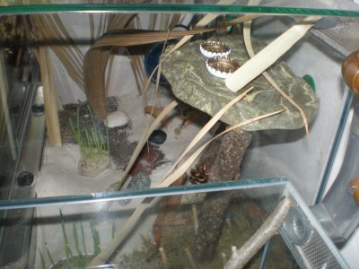 Kopie von Bild 129.jpg