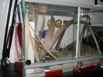 Kopie von Bild 128.jpg