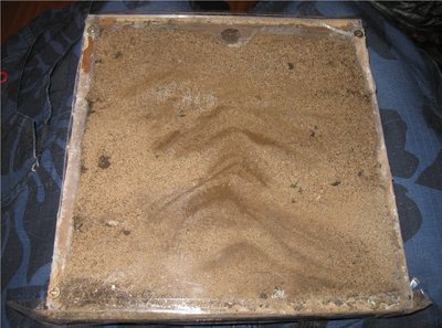 Das neue Sandnest / IMG_1241.JPG IMG_1241.JPG