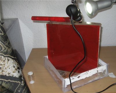 Aufbau / IMG_1242.jpg IMG_1242.jpg