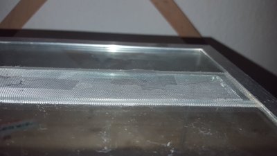 WhatsApp Image 2017-07-05 at 07.32.50 (1).jpeg