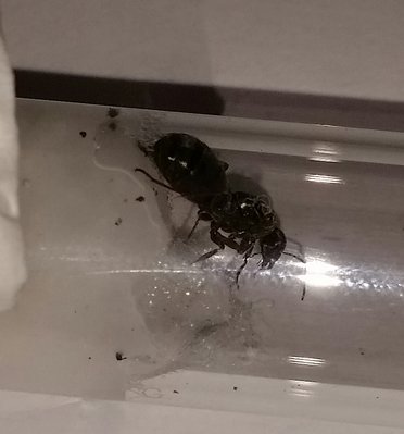 2017-07-21 11.57.00.jpg