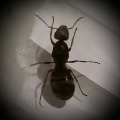 2017-07-20 22.44.58.jpg