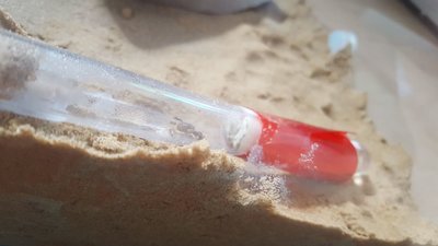 WhatsApp Image 2017-07-25 at 13.05.11 (1).jpeg