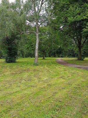 Marienfriedhof 1.jpg