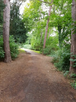 Marienfriedhof 5.jpg