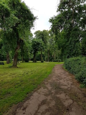 Marienfriedhof 6.jpg