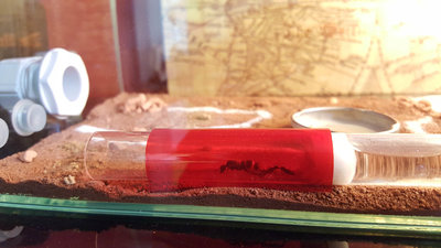 2017-06-08 10.13.53.jpg