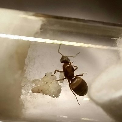 2017-08-28 17.57.53.jpg