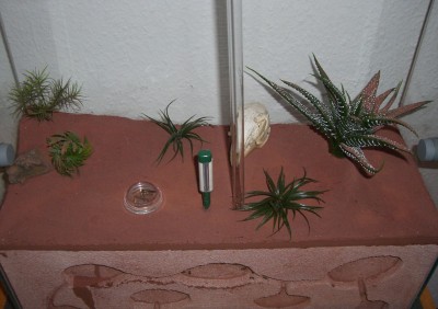 Formicarium_03.jpg