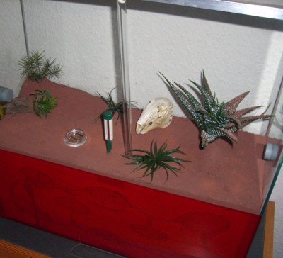 Formicarium_02.jpg