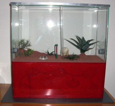 Formicarium_01.jpg