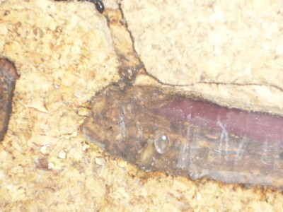 Sperre 2 und Müllkammer 2.JPG