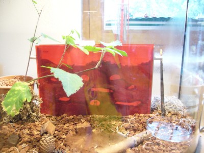 Die komplette Farm.JPG