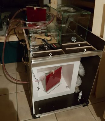 Ameisenkiste von vorn. / Ameisenkiste von vorn.JPG Ameisenkiste von vorn.JPG
