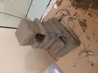 5. Fliesenkleber LI.jpg