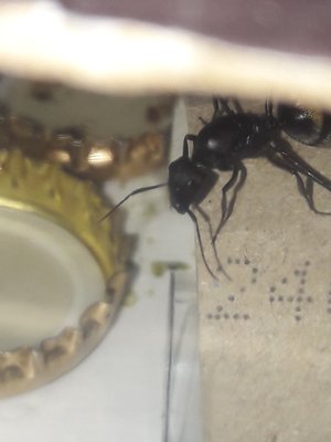 Gyne sondiert die Lage und spürt das sie im RG unerwünscht ist. / 20211212_102212.jpg 20211212_102212.jpg