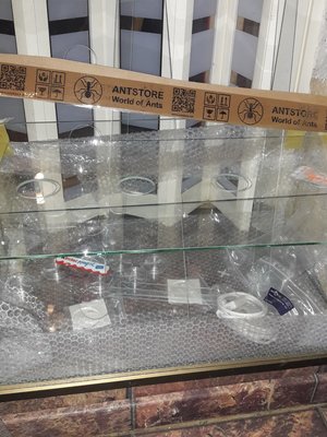 Da war der Weihnachtsmann ein wenig übermütig, erste Schatten zeigen sich auf. Der gewünschte geradlinige Durchlauf zum erneuten Gründungsversuch stellt sich wohl nicht ein. / 20211213_141131.jpg 20211213_141131.jpg