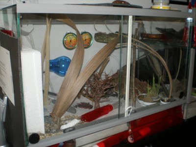 Kopie von Bild ori463.jpg