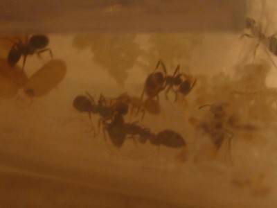 unscharfe Babypflege.JPG