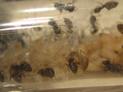 Baby kann auch helfen.JPG