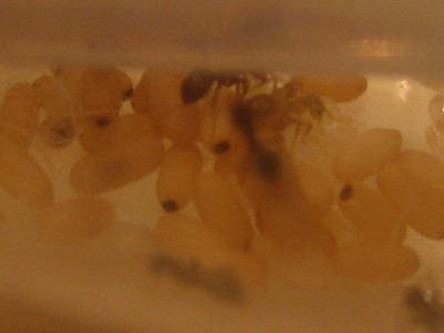 vor dem ersten Schritt.JPG