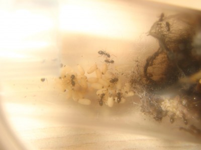 Als die Welt noch in Ordnung war.JPG