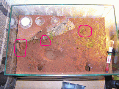 Hier kann man gut die neuen Eingänge erkennen..gif