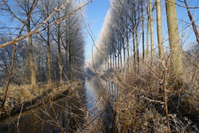 DSC01756 (Small).JPG