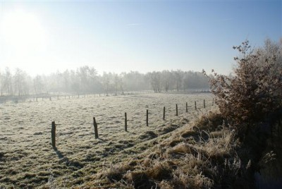 DSC01755 (Small).JPG