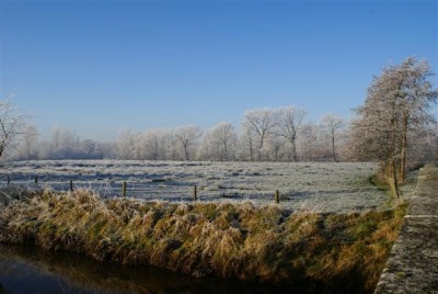 DSC01754 (Small).JPG