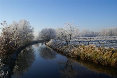 DSC01753 (Small).JPG