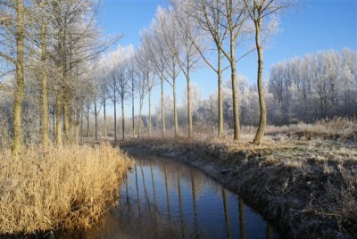 DSC01752 (Small).JPG